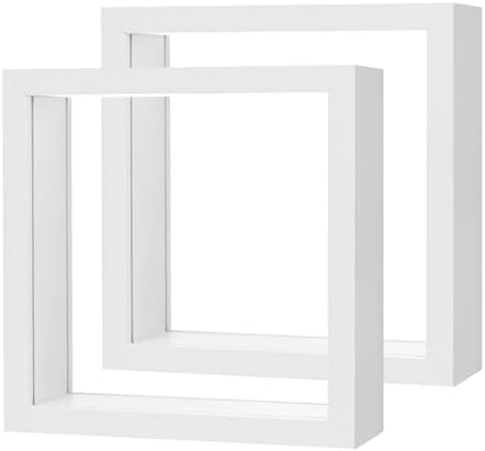 2-Pack Dried Flower Frame 6x6 Inch White