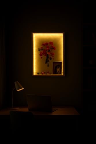 LED Lighted Shadow Box for Art Display and Storage