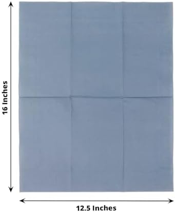 100 Count Dusty Blue 2-Ply Dinner Napkins