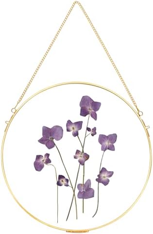 REDHUGO Handmade Glass Frame for Pressed Flowers Wall Decor