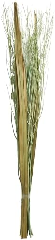 Deco 79 Dried Plant Branch Floral Bouquet Green