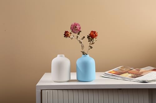 Blue Ceramic Vase for Home Decoration and Flower Arrangements