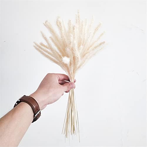 50Pcs Natural Dried Flowers Bouquet Decor No Vase