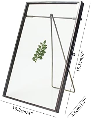 Black Brass Glass Floating Frame for Dried Flowers and Photos