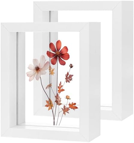 2-Pack Wooden Pressed Flower Frame with Floating Design White