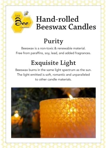 Little Bee of CT Hand Rolled Beeswax Pillar Candle