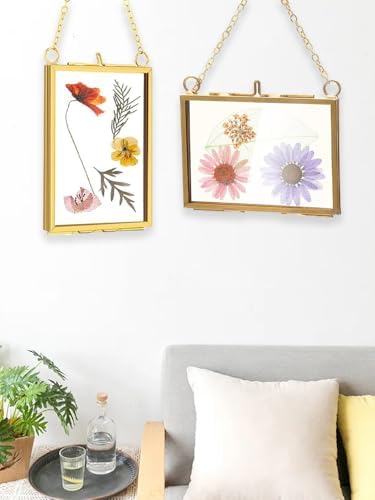 Belupai 2pcs Glass Pressed Flower Frames