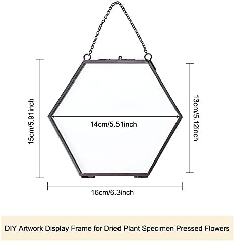 FINGERINSPIRE Brass Hexagon Wall Frame 6x6 Inches