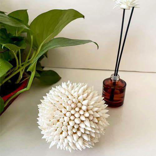 White Sea Shells Balls 4 Inch Nautical Decor