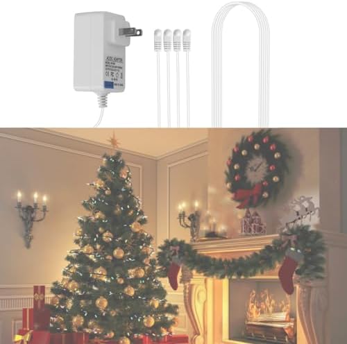 4-Output ACDC 45V Power Adapter for LEMAX Decorations