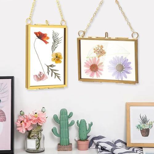 Belupai 2pcs Glass Pressed Flower Frames