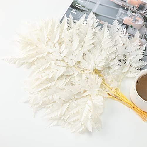 Tavkite Dried Boston Ferns 10 PCS 15 Inch Real Leaves