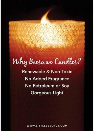 Little Bee of CT Hand Rolled Beeswax Pillar Candle