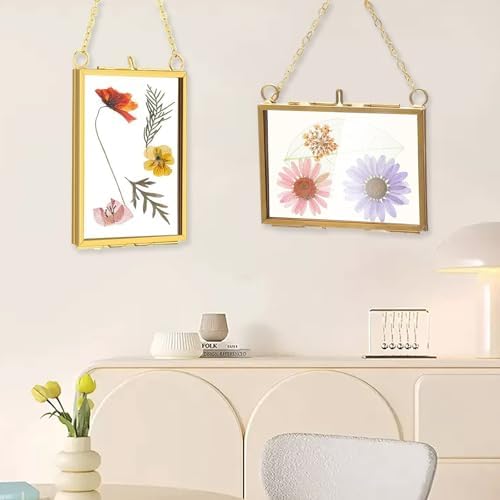 Belupai 2pcs Glass Pressed Flower Frames