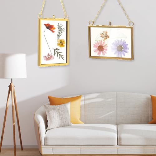 Belupai 2pcs Glass Pressed Flower Frames