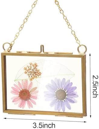 Belupai 2pcs Glass Pressed Flower Frames