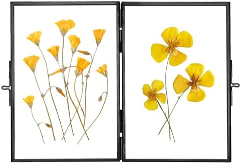 Redhugo Glass Pressed Flower Frame 4x6 Inches Black