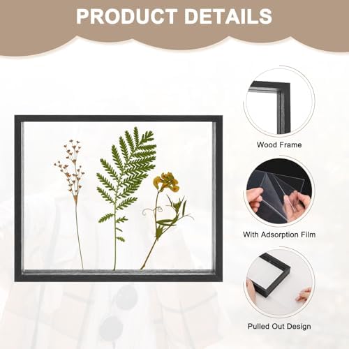 Wooden Pressed Flower Frame 8 x 10 Inch Black