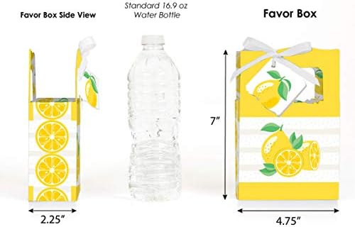 Big Dot of Happiness So Fresh Lemon Favor Box Set of 12
