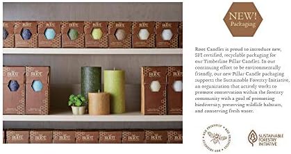 Root Candles Unscented Premium Beeswax Pillar Candles 3x9-Inch Butterscotch