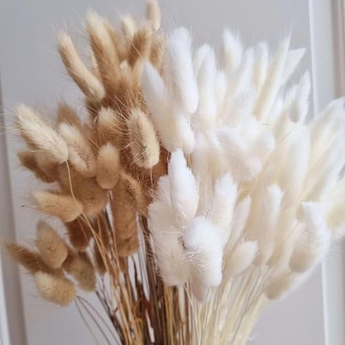 Queenbox 169in 60pcs Dried Pampas Grass Centerpieces
