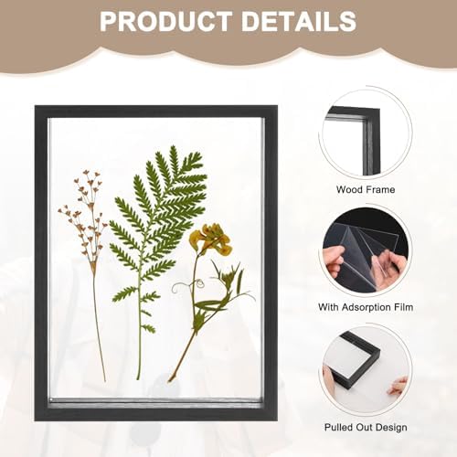 Wooden Pressed Flower Frame 6x8 Inch Black