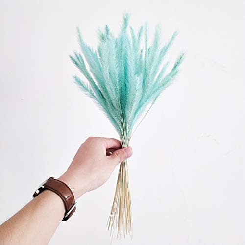 50Pcs Natural Dried Flowers Bouquet Decor No Vase