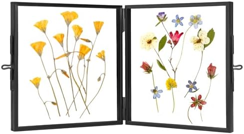 Redhugo Double Glass Pressed Flower Frame 4x4 Inches