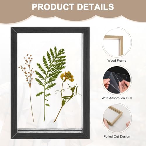 2-Pack Wooden Pressed Flower Frame 4x6 Inch