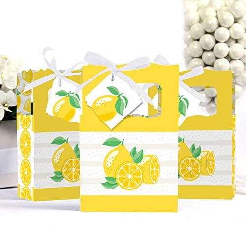 Big Dot of Happiness So Fresh Lemon Favor Box Set of 12