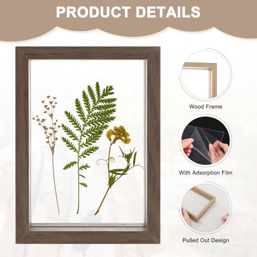 2-Pack Wooden Pressed Flower Frame with Acrylic Panels