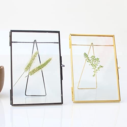 Black Brass Glass Floating Frame for Dried Flowers and Photos