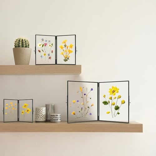Redhugo Glass Pressed Flower Frame 4x6 Inches Black
