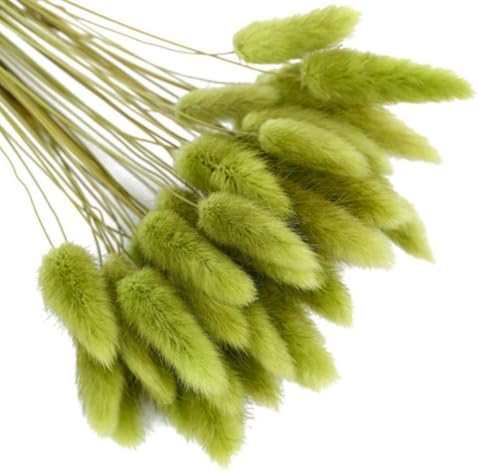 Hotfiary 150 Pcs Dried Pampas Grass Decor