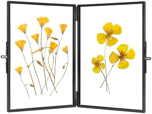 Redhugo Glass Pressed Flower Frame 4x6 Inches Black