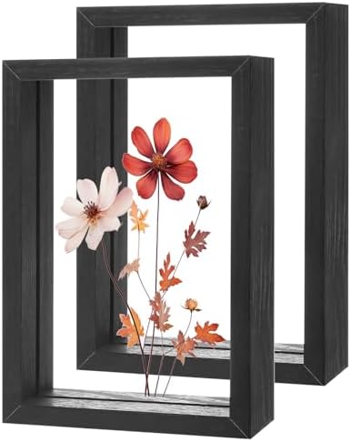 2-Pack Wooden Pressed Flower Frame 4x6 Inch