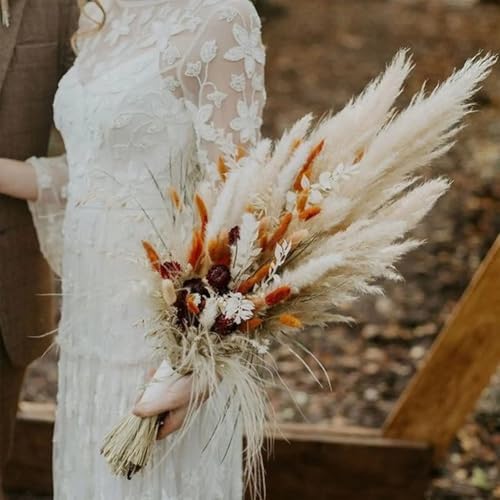 ECYC 60 Pcs Dried Bunny Tails Flowers Boho Decor