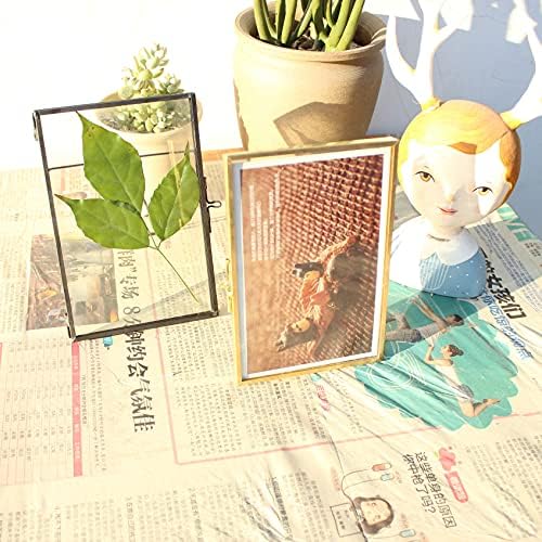Black Brass Glass Floating Frame for Dried Flowers and Photos