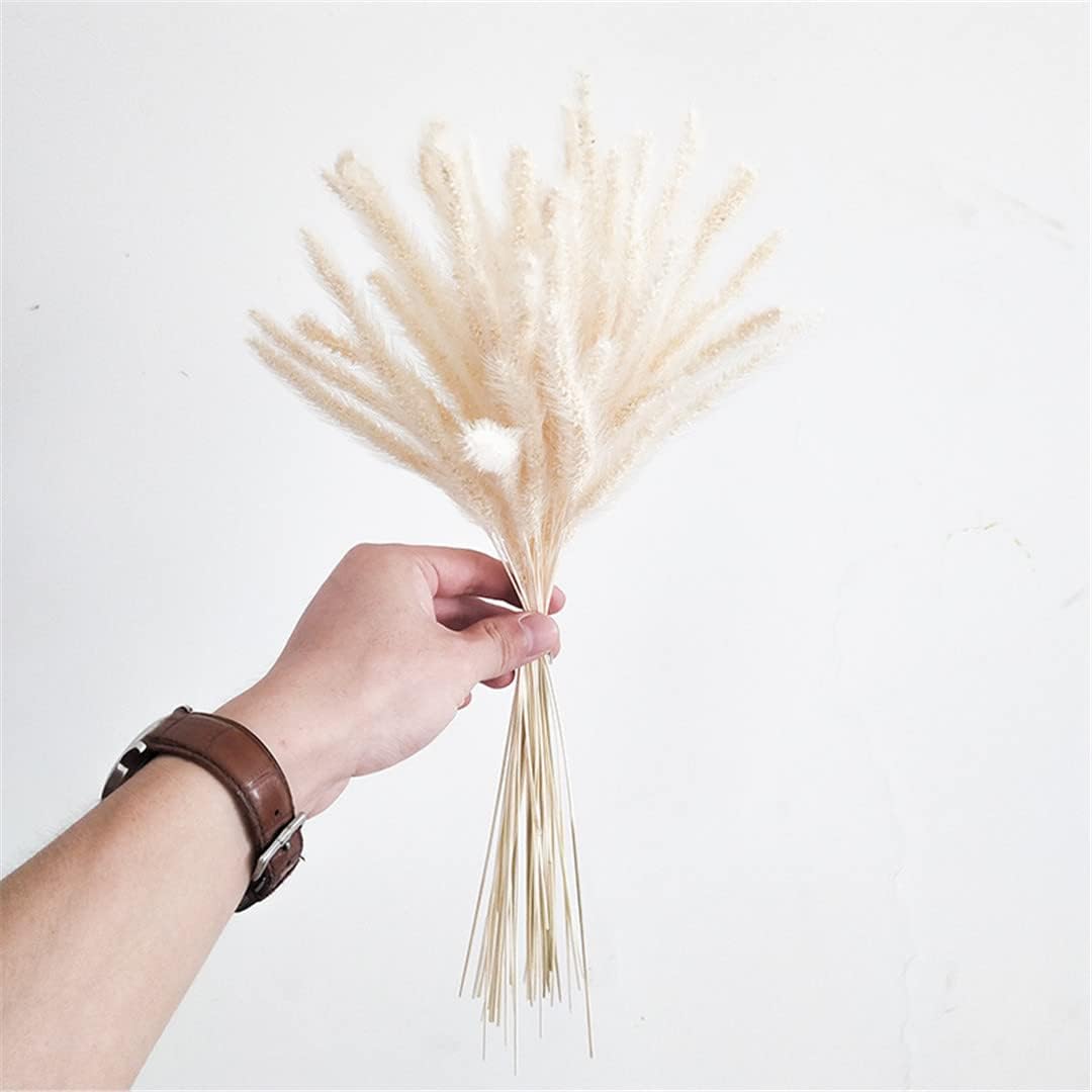 50Pcs Natural Dried Flowers Bouquet Decor No Vase
