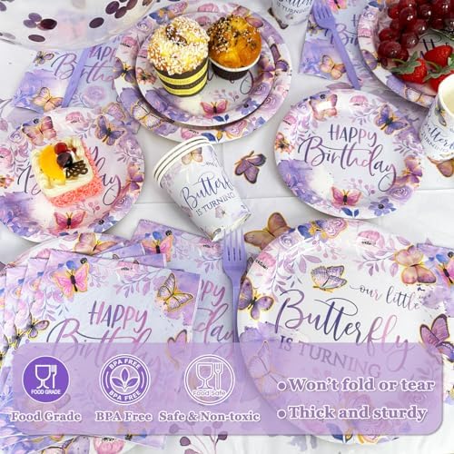 Purple Butterfly Birthday Decorations Set 112Pcs for 20 Guests