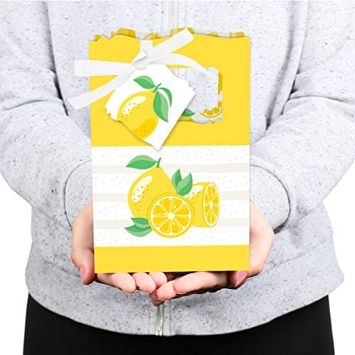 Big Dot of Happiness So Fresh Lemon Favor Box Set of 12