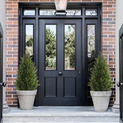 Vitalismo Outdoor Cedar Topiary Tree 3ft