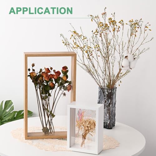 2-Pack Dried Flower Frame 6x6 Inch White