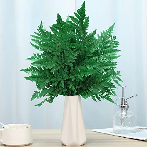 Tavkite Dried Boston Ferns 10 PCS 15 Inch Real Leaves