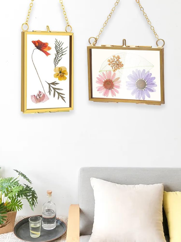 Belupai 2pcs Glass Pressed Flower Frames
