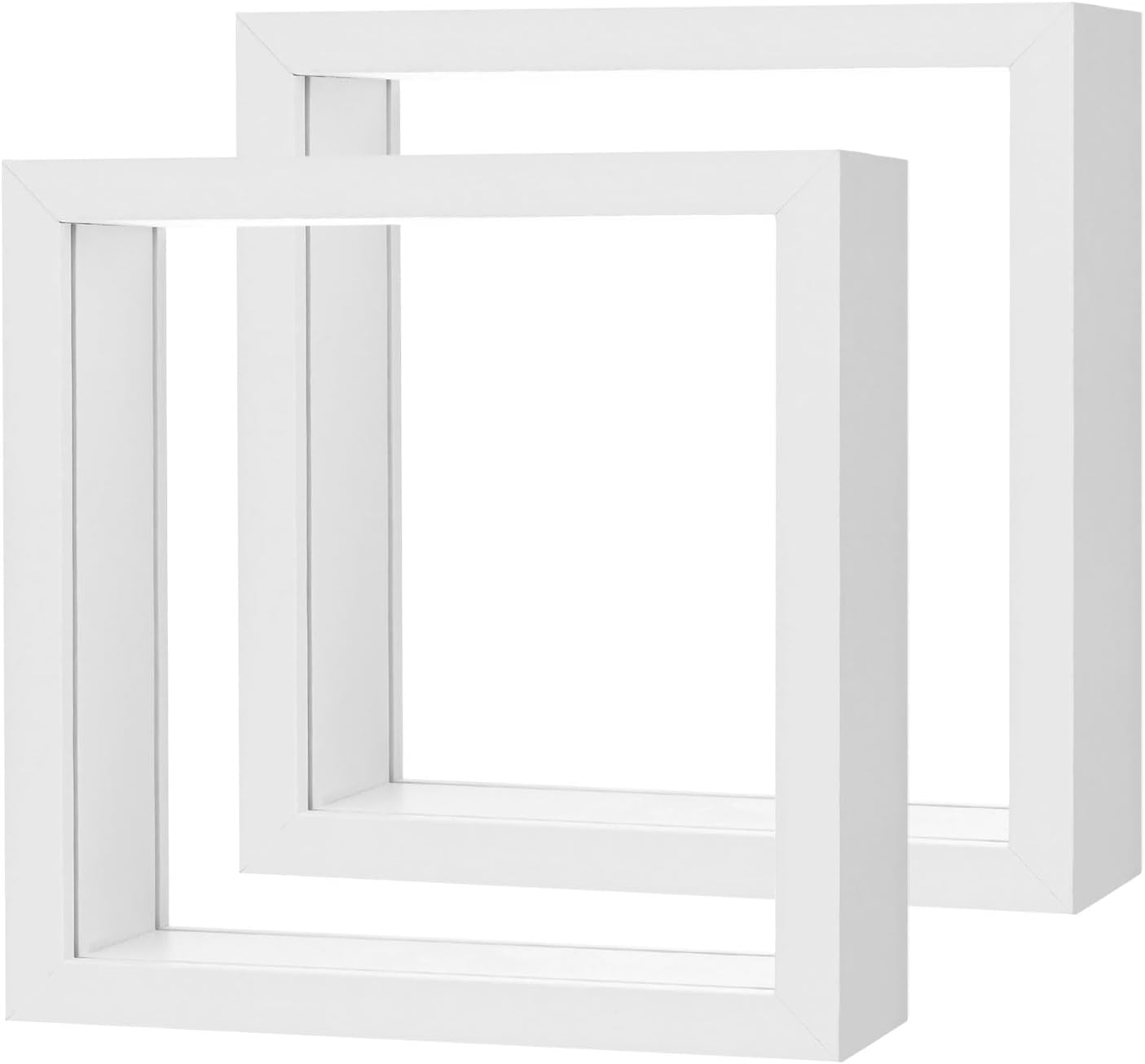 2-Pack Dried Flower Frame 6x6 Inch White