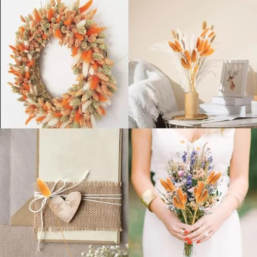 ECYC 60 Pcs Dried Bunny Tails Flowers Boho Decor