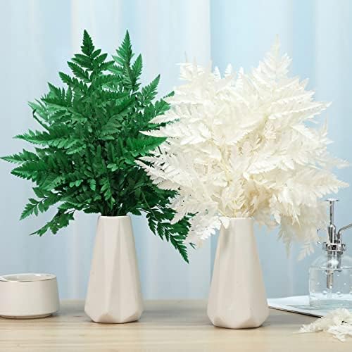 Tavkite Dried Boston Ferns 10 PCS 15 Inch Real Leaves