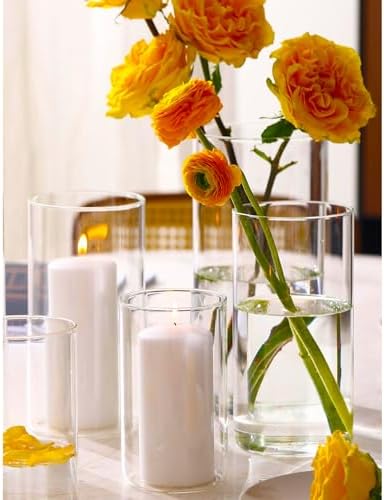 Hurricane Candle Holder Set of 6 Clear Glass Vase