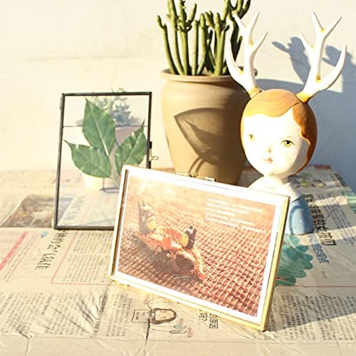 Black Brass Glass Floating Frame for Dried Flowers and Photos